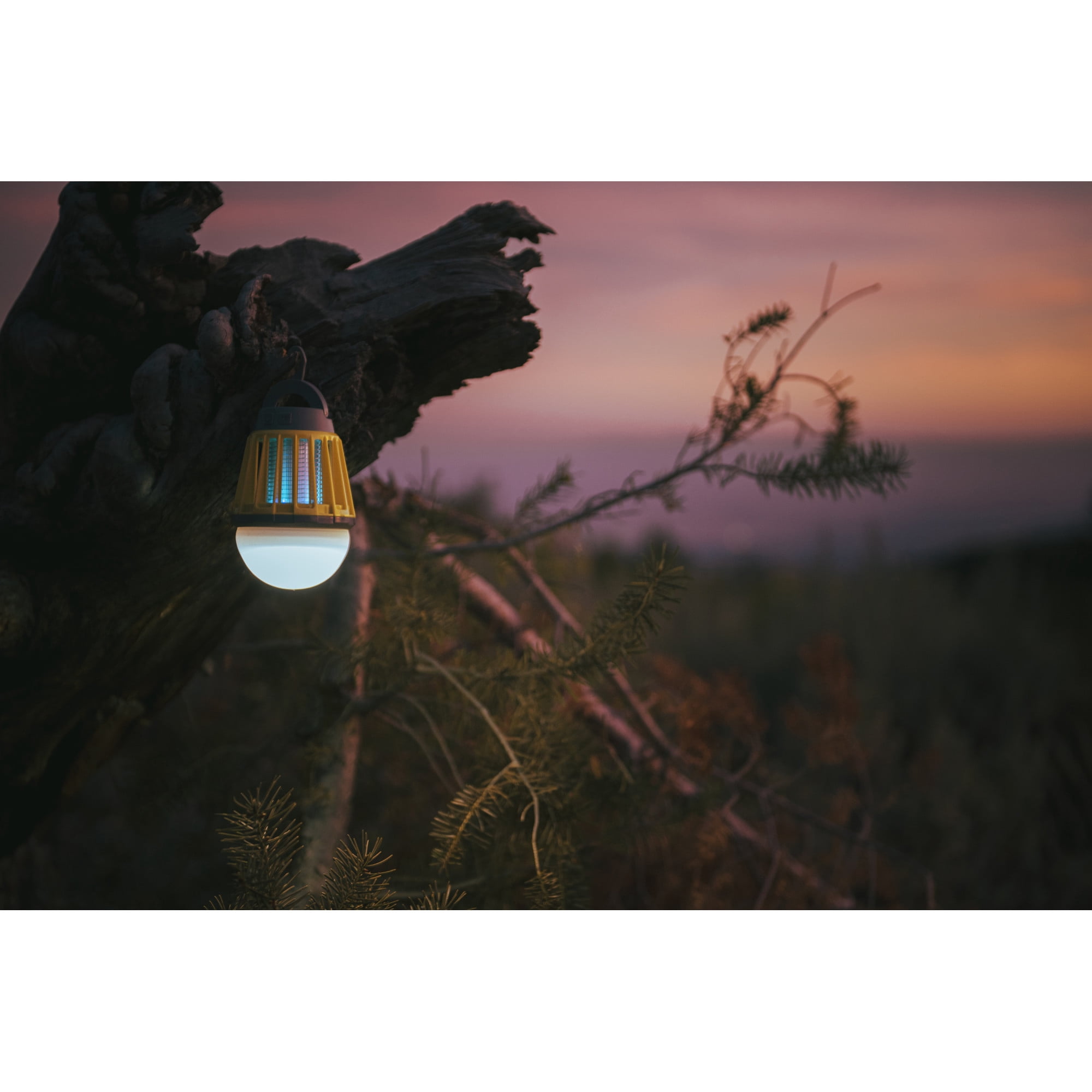 Stansport Indoor/Outdoor Insect Zapper & Lantern Combo