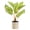type:style1, variant on Fake Plants Artificial Potted Plants Faux Plants Begonia Plants in Ceramic Pots Real Touch Leaves for Office Table Desk Bathroom Bedroom Greenery Decoration Room Home Indoor Decor - type:style1
