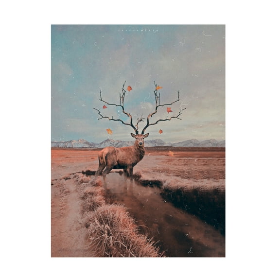 Trademark Fine Art spacerocket art 642 Canvas Wall Art
