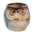 thumbnail image 2 of Cute Owl Ceramic Planter 2.6 Inch, Small Succulent Cactus Flower Pot for Indoor Outdoor Home Office Decor, Animal Style Tabletop Garden Decor Pot Gift, 2 of 6