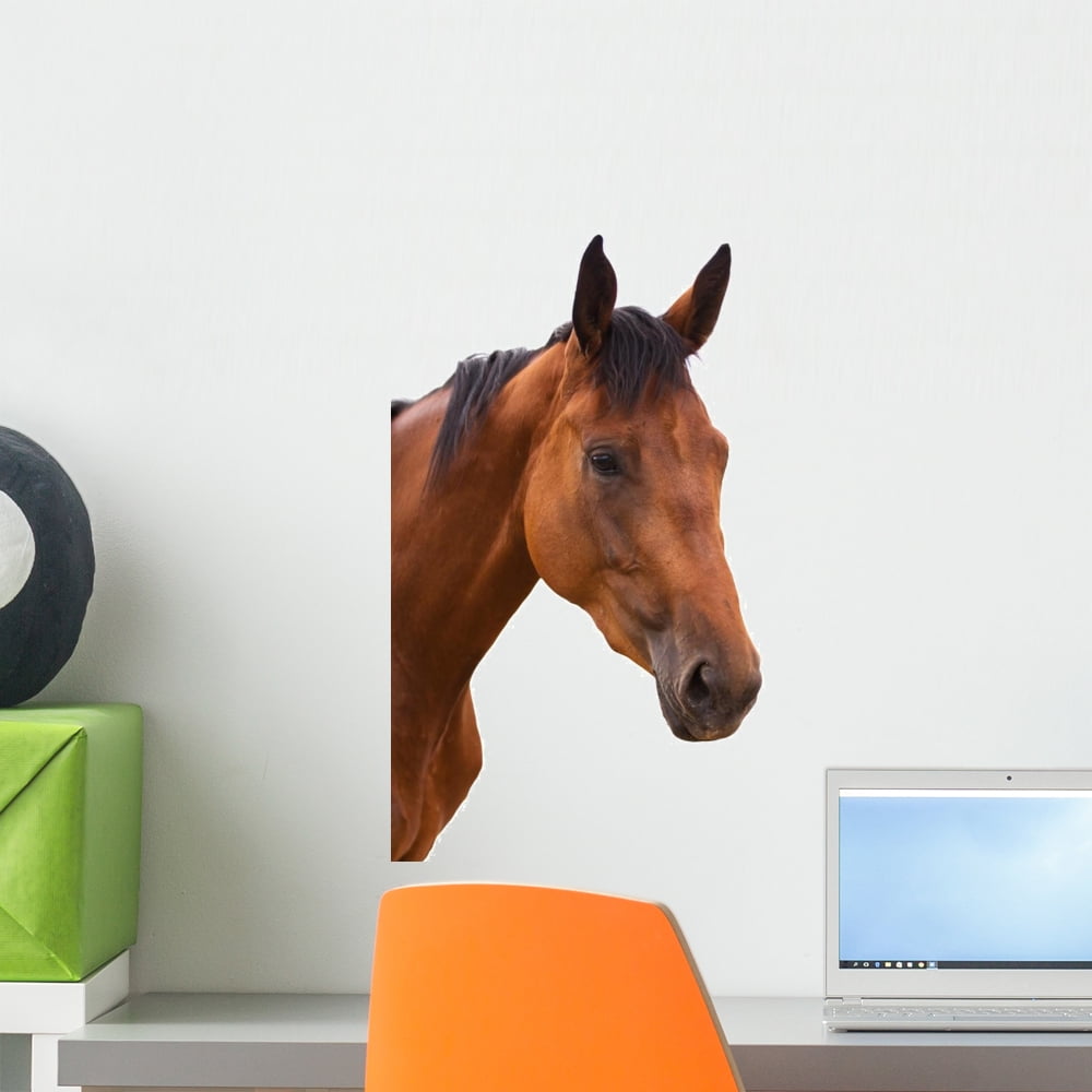 Horse Head Wall Decal by Wallmonkeys Peel and Stick Graphic (18 in H x