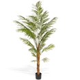thumbnail image 1 of 7 ft. Deluxe Areca Potted Palm Tree, 1 of 1