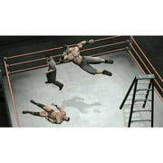 THQ WWE SmackDown vs. Raw 2010