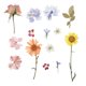 thumbnail image 1 of Pressed Flowers Stickers For Women And Girls In Assorted Color For Decorative Use On Travel And Photography 1 Sheet, 1 of 2