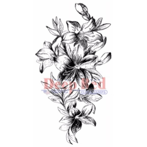 Deep Red Cling Stamp 1.5"x3"-lily Cascad