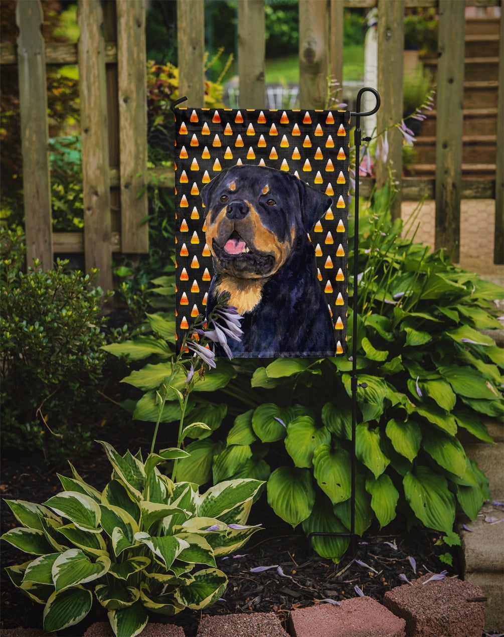 Carolines Treasures SS4317-FLAG-PARENT Rottweiler Candy Corn Halloween Portrait Flag  multicolor