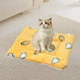thumbnail image 4 of FYTPOV Cat Bed Dog Crate Pad, Cute Printed Dog Mat, Washable Crate Mat for Small Dogs and Indoor Cats, Warm Plush Dog Kennel Pad Cat Carrier Mat, 4 of 5