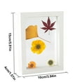 thumbnail image 4 of Tignapoo Elegant White 6-Inch Double-Sided Glass Frame for DIY Dried Flower and Leaf Display (10x15cm), 4 of 6