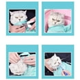 thumbnail image 6 of Cat Grooming Bathing Bag Adjustable Anti Scratch for Bathing Manicure Cleaning, 6 of 6