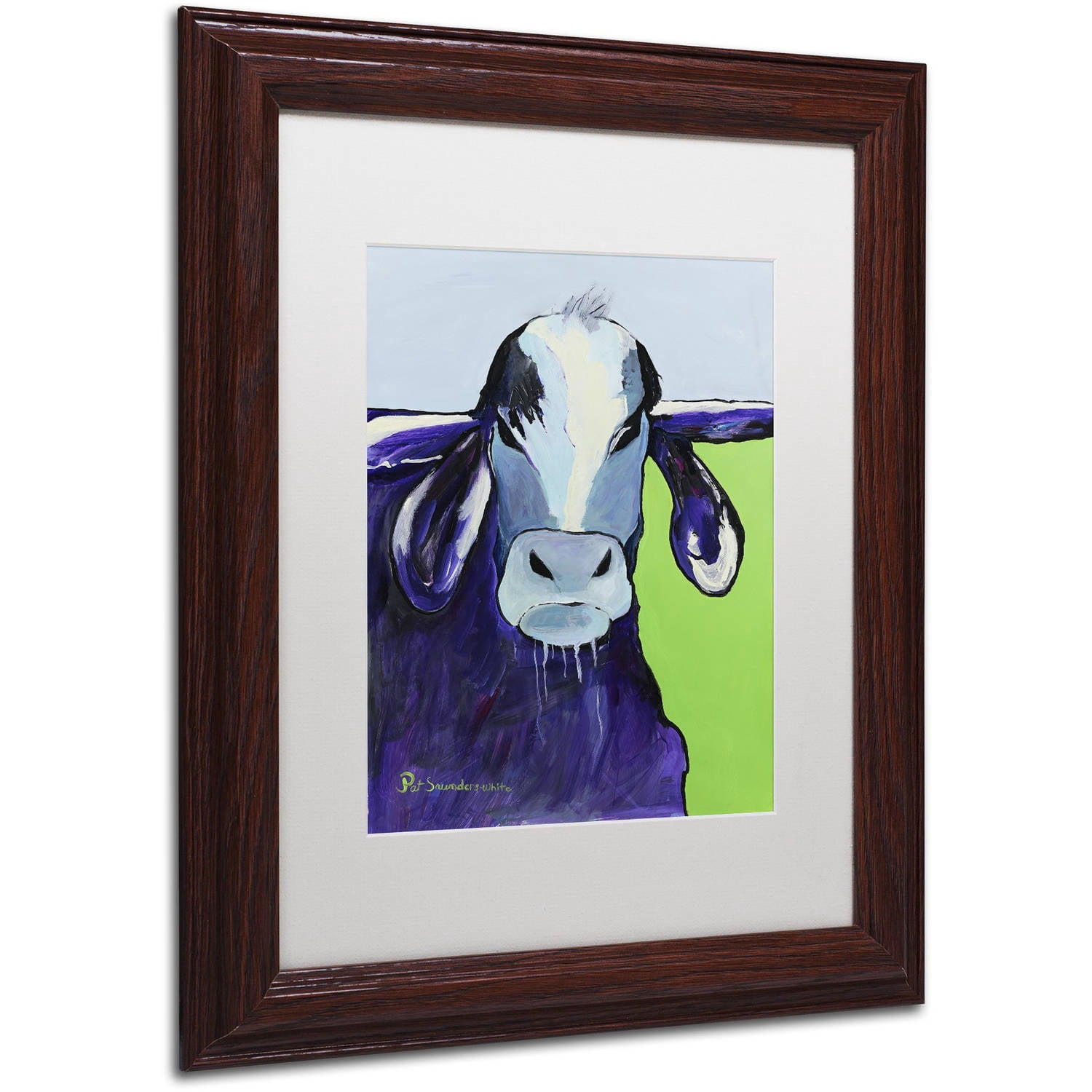 Trademark Fine Art "Bull Drool II" Canvas Art by Pat Saunders-White, White Matte, Wood Frame