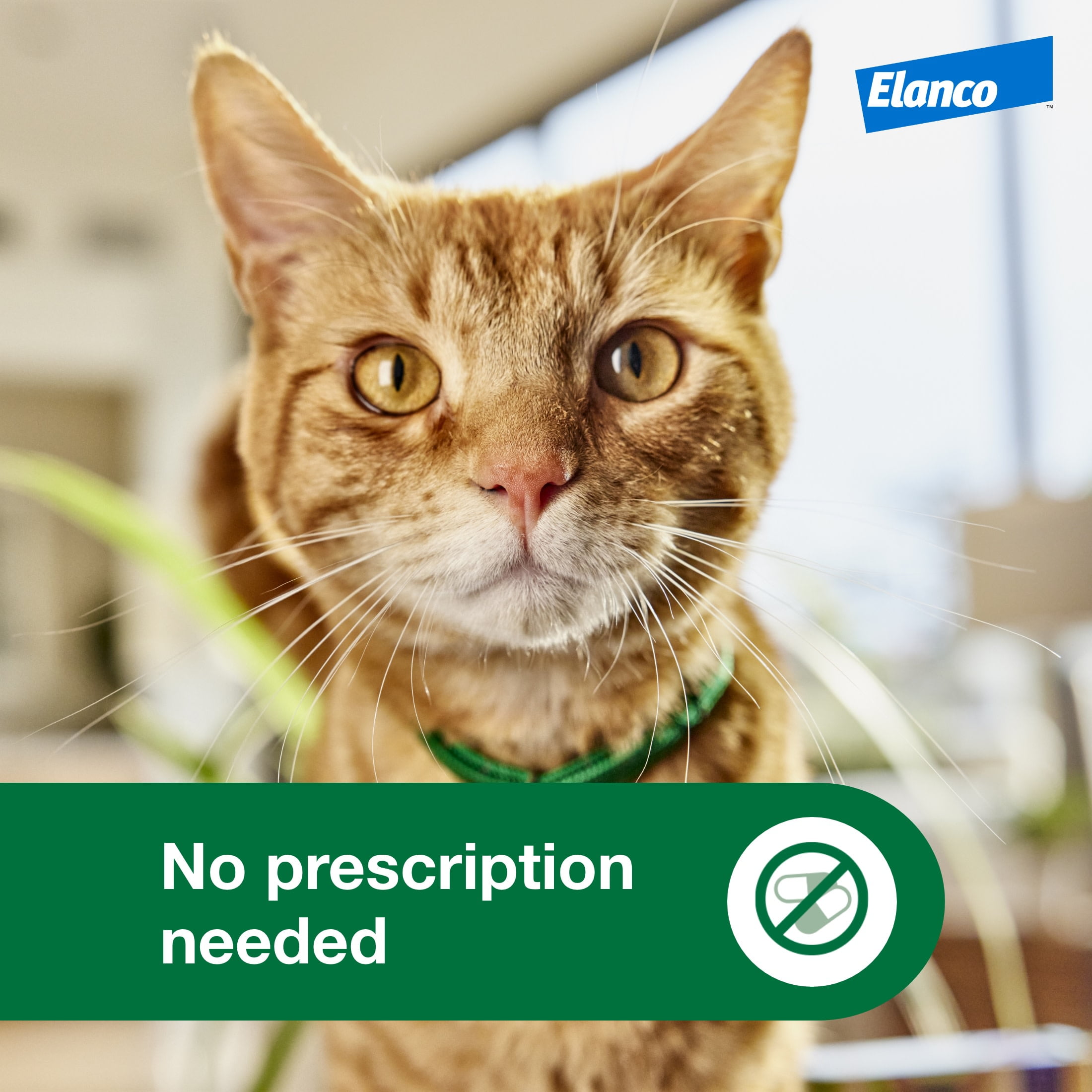 Advantage XD Large Cat 2-Month Flea Prevention For Cats over 9lbs, 1 Dose (2-Months)