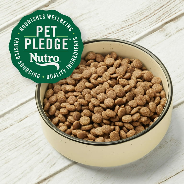 Nutro 25 lb Max Senior Dry Dog Food Chicken