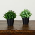 thumbnail image 4 of 6in. Artificial Grass Plant in Black Pot - Set of 2, 4 of 9