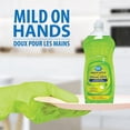 thumbnail image 2 of Great Value Détergent Liquide pour Vaisselle Parfum de Pomme Verte 591ML, 2 of 4