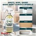 thumbnail image 2 of ProSol Works Multisurface All Purpose Cleaner Spray, 16 oz, 2 of 10