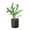4_FERN_BLUE.STAR_PP.BLK.CYL, variant on Fern 'Blue Star' - Live Air-Purifying Indoor Plant in Nursery Pot – Easy Care, Low Maintenance Houseplant for Home & Office Decor, Natural Air Cleaner, Best for Beginners (4"Pot, NurseryPot)