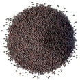 thumbnail image 2 of Organic Broccoli Sprouting Seeds, 1 Pound — Non GMO, Kosher, Sproutable, Raw, Vegan — by Food to Live, 2 of 6