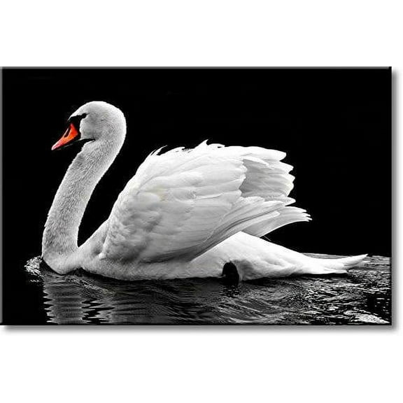 Swan, Picture on Streched Canvas, Wall Art D?cor, Ready to Hang