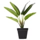 thumbnail image 5 of 1 pieza de simulación de planta verde para decoración del hogar, simulación de decoración de plantas en maceta., 5 of 7