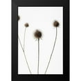 thumbnail image 2 of 1x Studio III 13x18 Black Modern Framed Museum Art Print Titled - Thistle Grey 07, 2 of 5