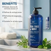 Botanic Hearth Tea Tree Face Wash With Mint | Acne Fighting, Premium, Hydrating Liquid Face Soap With Pure Tea Tree Oil | For Women And Men, Paraben Free, Fights Acne | 16 Fl Oz (Packaging May Vary)