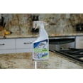 thumbnail image 4 of Black Diamond 00202 32oz Granite Counter Cleaner, 4 of 4