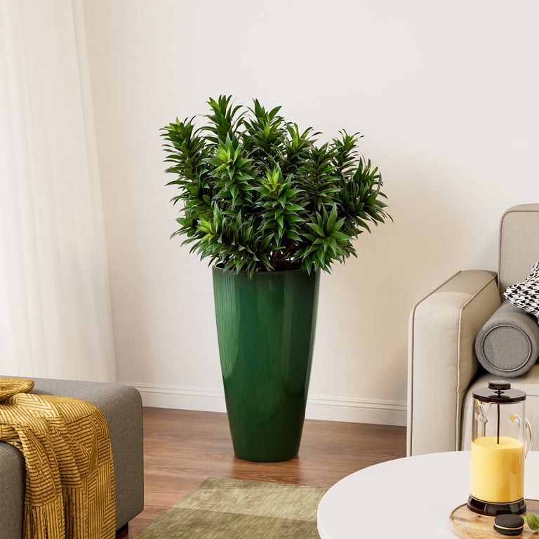 plant pots 20 inch Rts 20