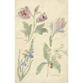thumbnail image 2 of Elias van Nijmegen 11x14 Black Ornate Wood Framed Double Matted Museum Art Print Titled: Studies of Flowers Including an Iris (1677 - 1755), 2 of 5