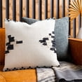 thumbnail image 2 of Surya Edwina EDA-001 20 x 20" Square Cotton Pillow Cover in Light Beige/Black, 2 of 4