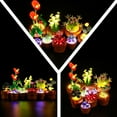 thumbnail image 5 of LED Light Kit for Lego 10329 Tiny Plants Set, Compatible with Lego 10329 Building Blocks Model(Not Include Blocks Set), 5 of 6