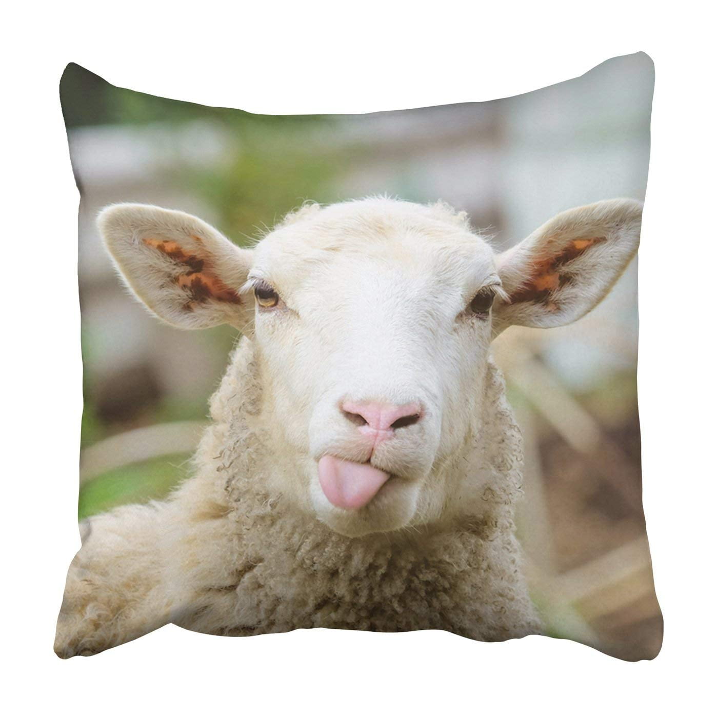 18x18 Funny Goat Gifts Pocket Graphic Goat Pet Throw Pillow Multicolor 