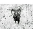 thumbnail image 2 of Merino, Nicolas 32x25 White Modern Wood Framed Museum Art Print Titled - The Stare, 2 of 4