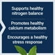 thumbnail image 4 of Life Extension | L-lisina, 620 mg, 100 cápsulas. Suplemento que Promueve un metabolismo del calcio saludable., 4 of 9