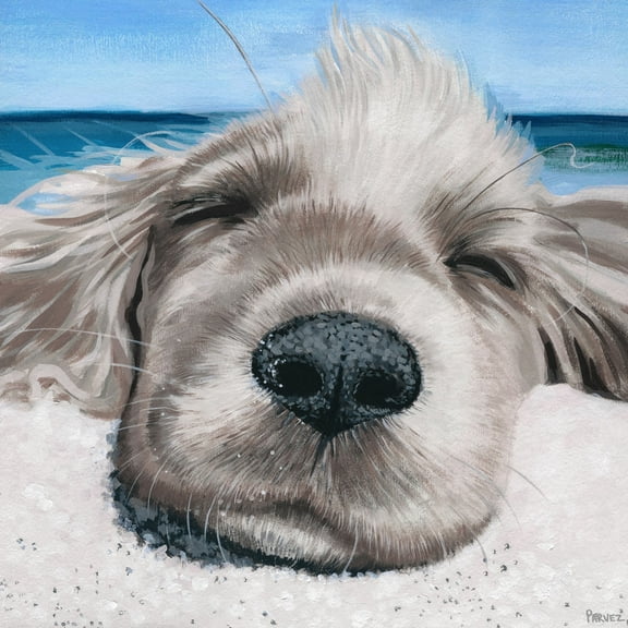 Parvez Taj Relaxing Dog Canvas Wall Art