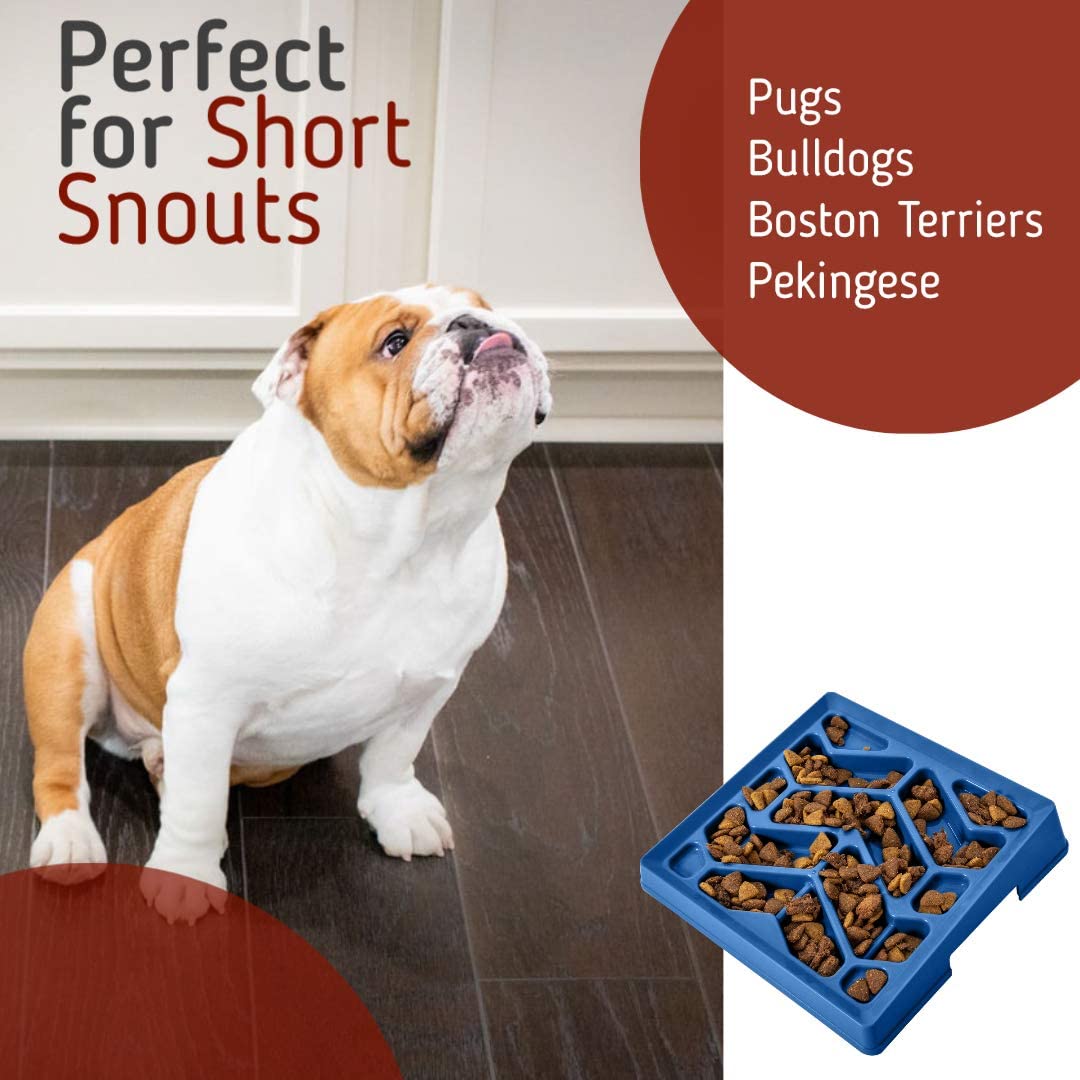 Leashboss Flat Face Feeder Tilted Slow Feed Bowl for Short Snout Dogs Cats Slanted Maze Food Bowl for French Bulldogs Pugs Boston Terriers