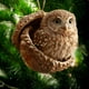 thumbnail image 1 of Adornos navideños acrílicos 2D | Decoraciones festivas con cinta | Diseños redondos para interiores y exteriores, 1 of 5