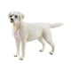 thumbnail image 2 of Estatuilla de Perro Realista Hugo Juguete Educativo Labrador Blanco, 2 of 10