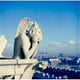 Affiche Superstock SAL255421449LARGE France Paris Notre Dame Cathedral Gargouille, 24 x 36 - Grande – image 1 sur 1