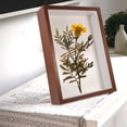 thumbnail image 3 of OULII Flower Photo Frame Rectangular Dried Flower Frames Walnut Color Decorative Purpose 1Pcs, 3 of 8