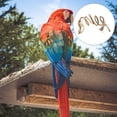 thumbnail image 2 of EeaseCA 1PC Parrot Climbing Rope Hanging Rope Toy Grey Parrot Toy Macaw Parrot Plaything, 2 of 8