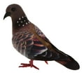 thumbnail image 2 of Aves Artificiales Zulema 6pcs Esculturas Estatu Jardín Juguetes Educativos con plumas, 2 of 6