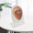 thumbnail image 4 of TISHITA Human Models Practical Silicone Modeling Delicate Texture for Exercises Office eye with stand, 4 of 8