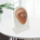thumbnail image 4 of Modelos humanos Sensaciones suaves prácticas Modelado de silicona Textura delicada ojo con soporte, 4 of 9