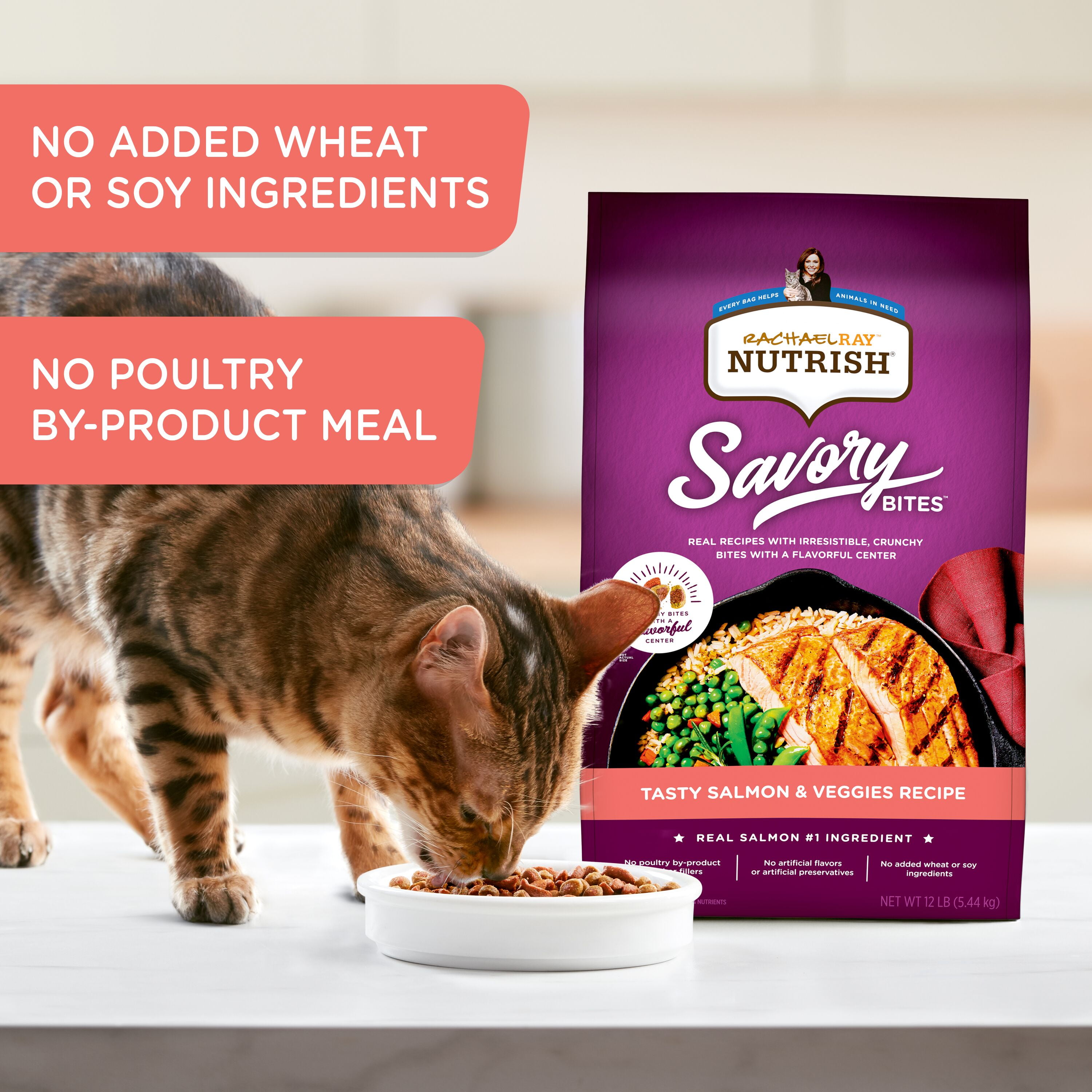 Rachael Ray Nutrish Savory Bites Tasty Salmon & Veggies Recipe Natural Food for Adult Cats, 2.5 lb