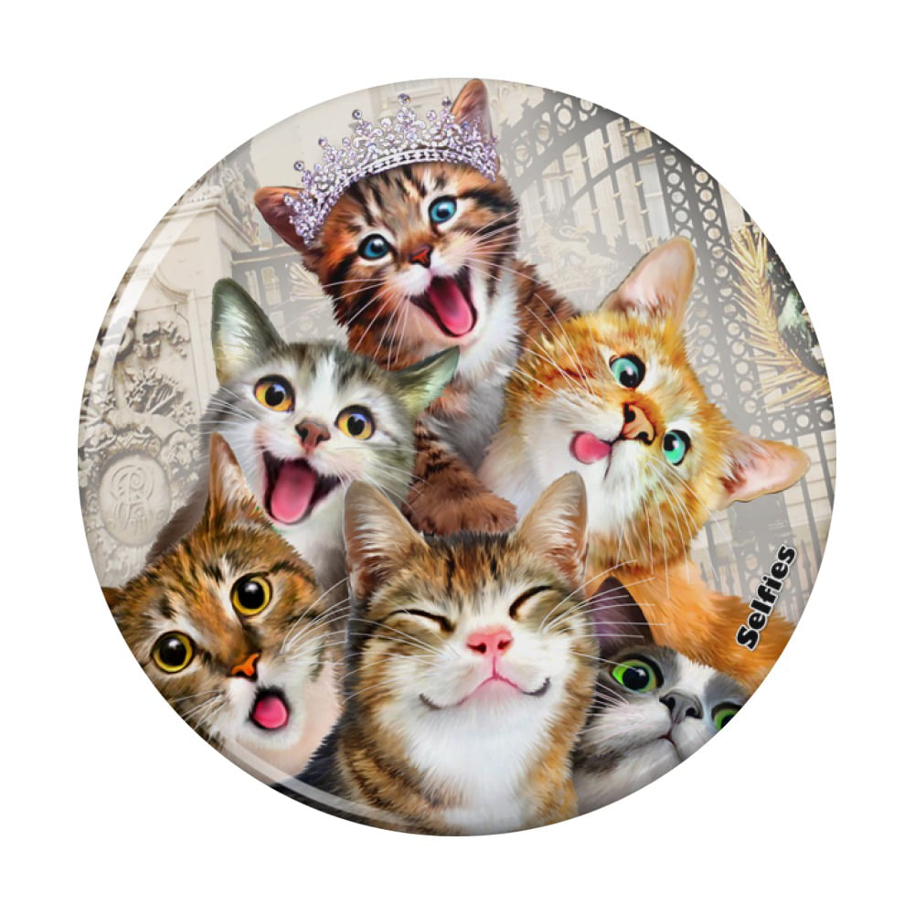 Cats Selfie at London Palace England Britain Pinback Button Pin Badge 