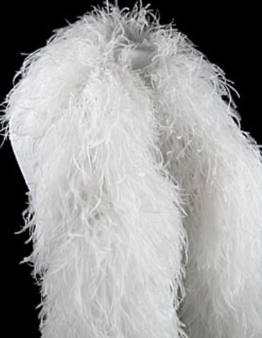 extra large ostrich feathers