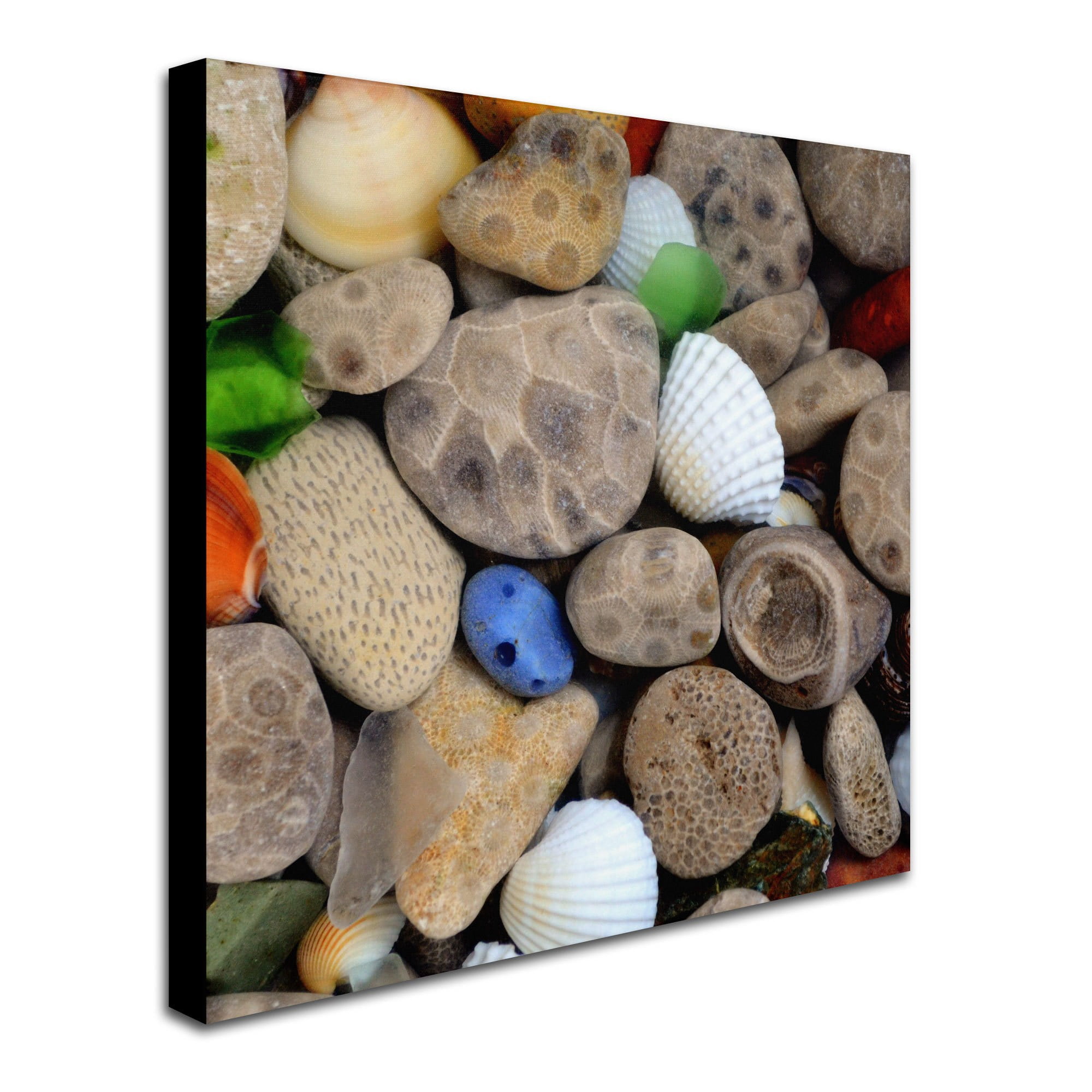 Trademark Fine Art "PetoskeyStones V" Canvas Art by Michelle Calkins