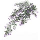 thumbnail image 2 of Enredadera colgante artificial, plantas de hiedra de plástico, verdor, sauce llorón falso, ramita de mimbre de ratán para jardín Sincero Hogar, 2 of 5