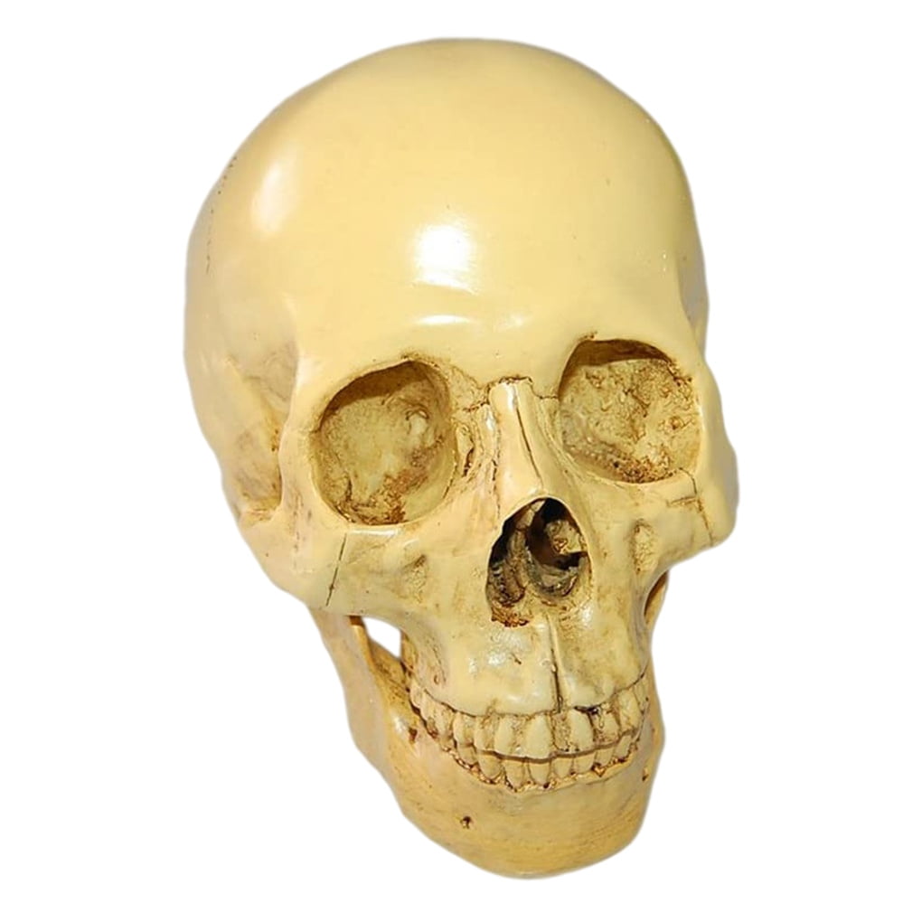 Human Head Skull Skeleton Design Resin Halloween Candy Bowl Trinket Statue 