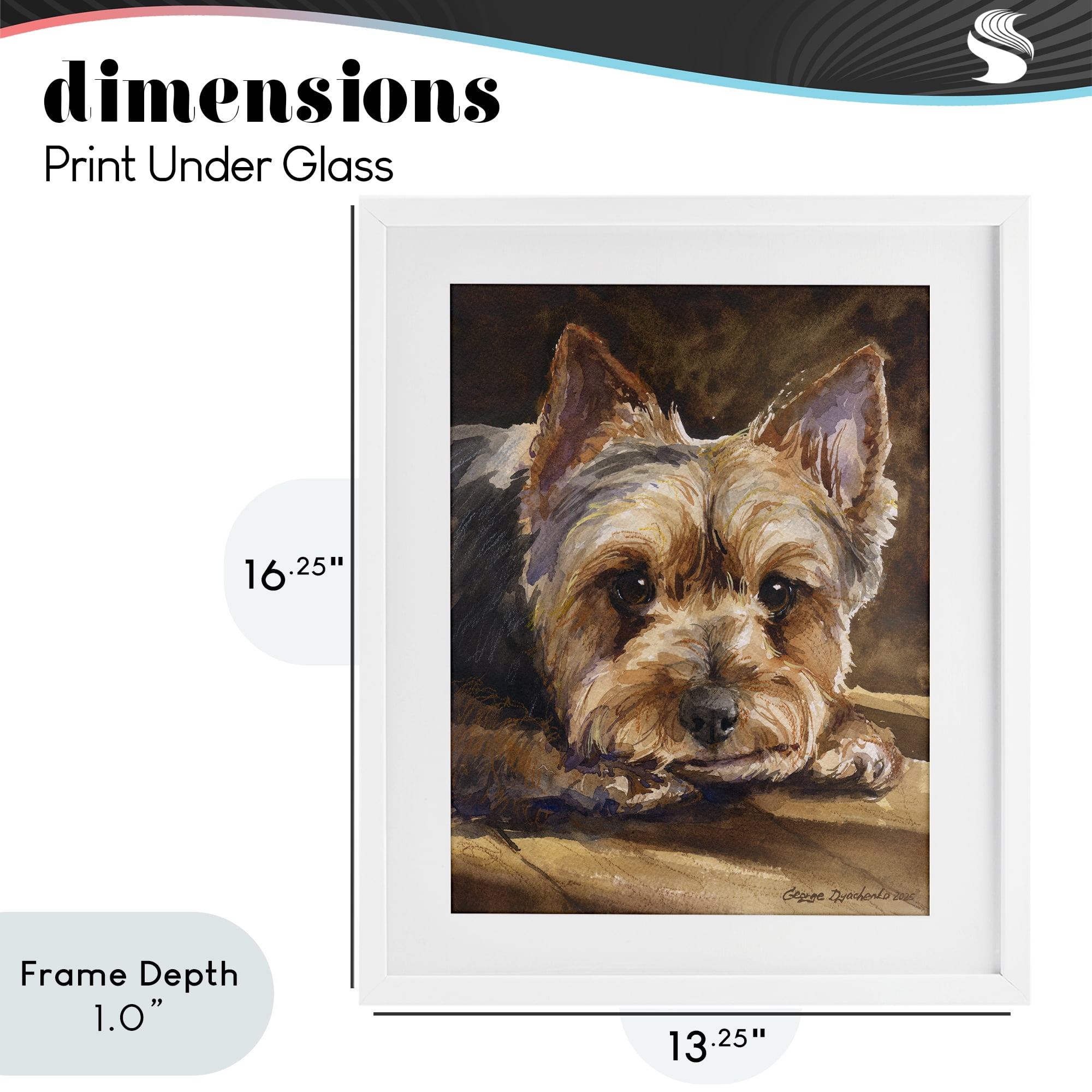 Stupell Industries Yorkshire Terrier Portrait White Framed Print Under Glass, design by George Dyachenko